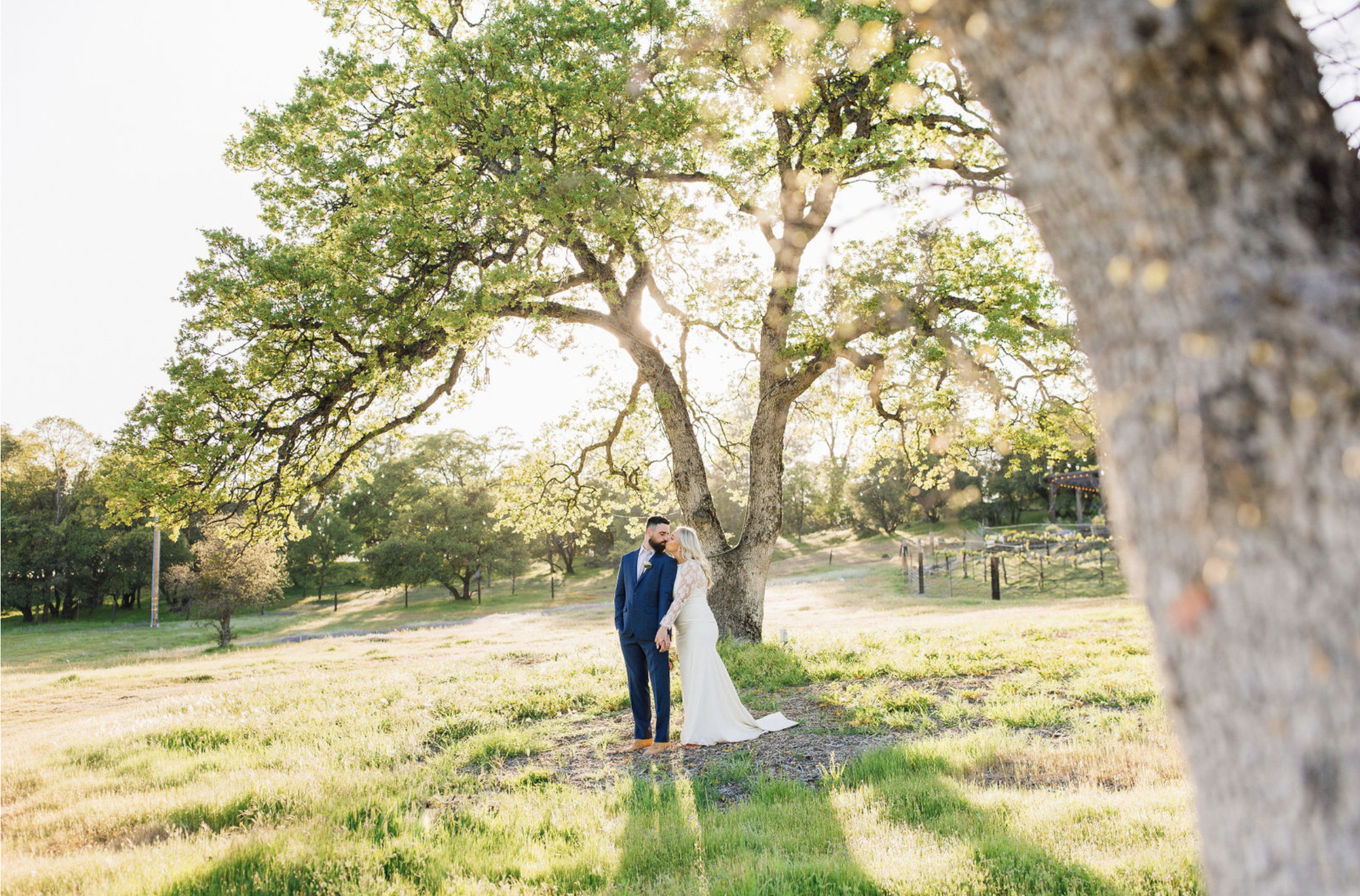 Spring Wedding At Vida Buena Farm 